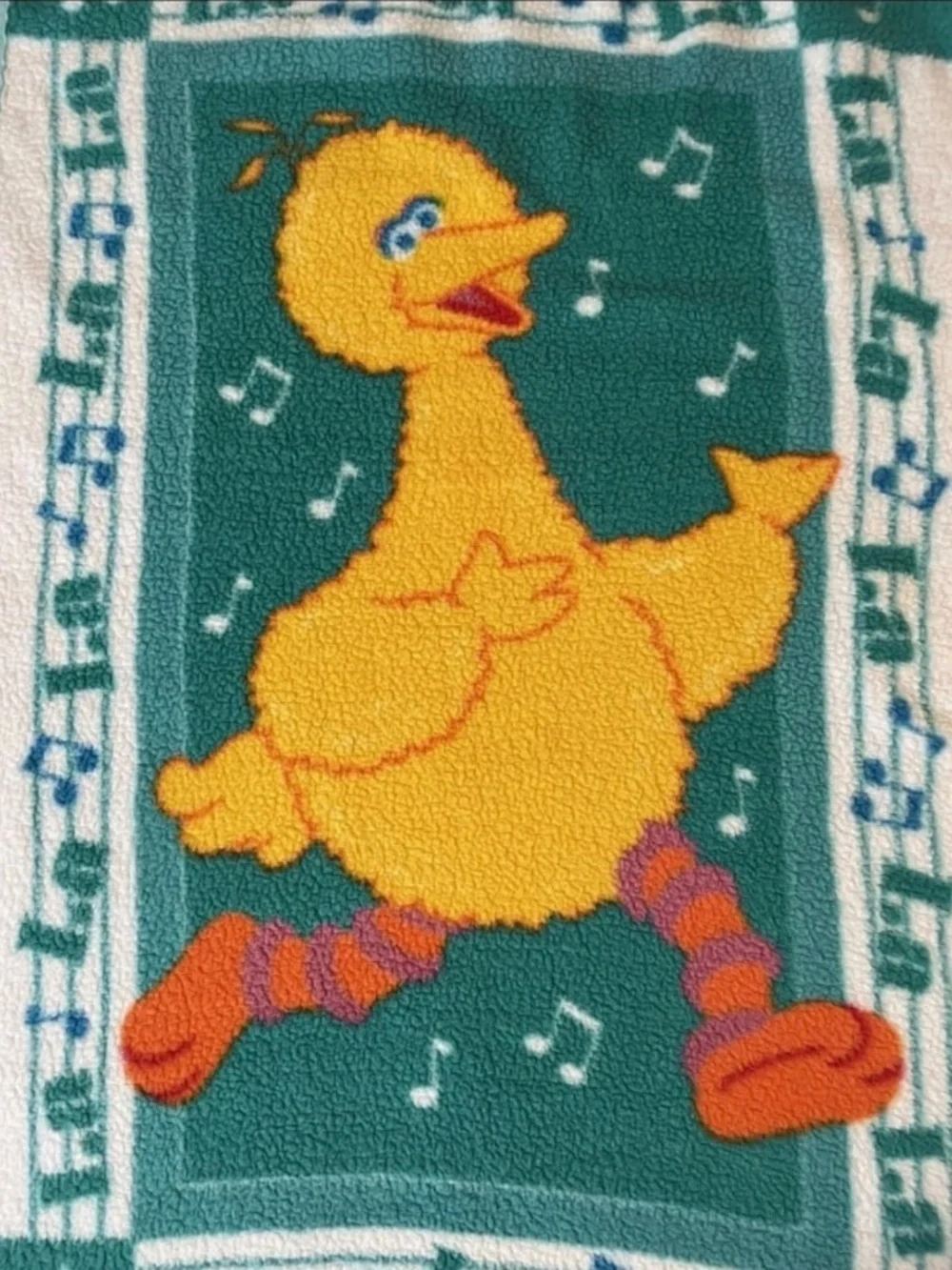 Vintage Sesame Street Big Bird Throw